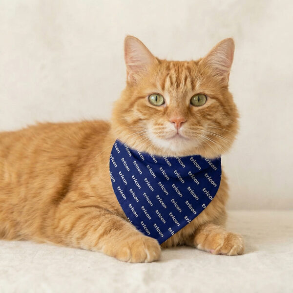 Large Pet Bandana