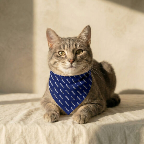 Small Pet Bandana