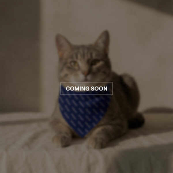 Cat Bandana