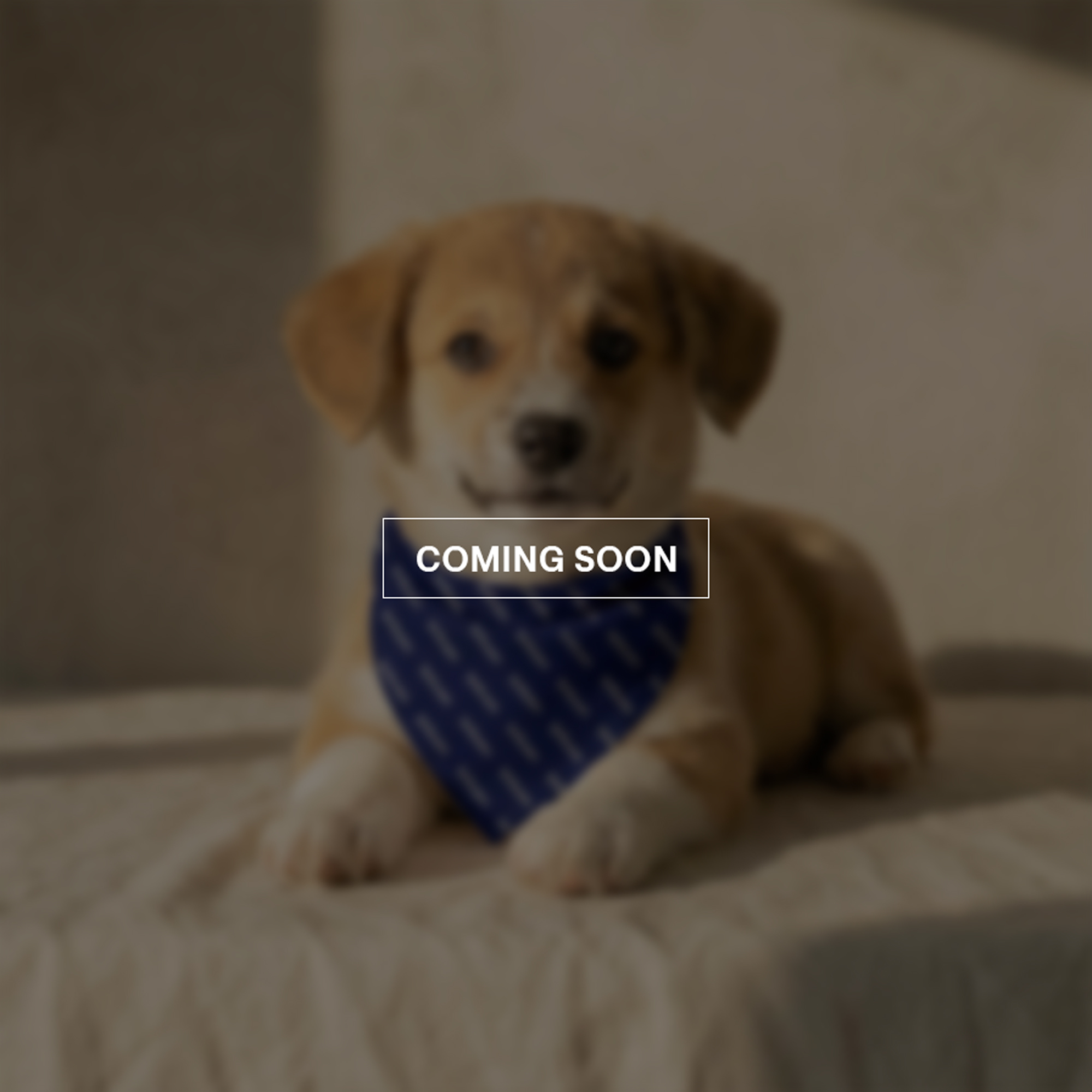 Dog Bandana - Image 2