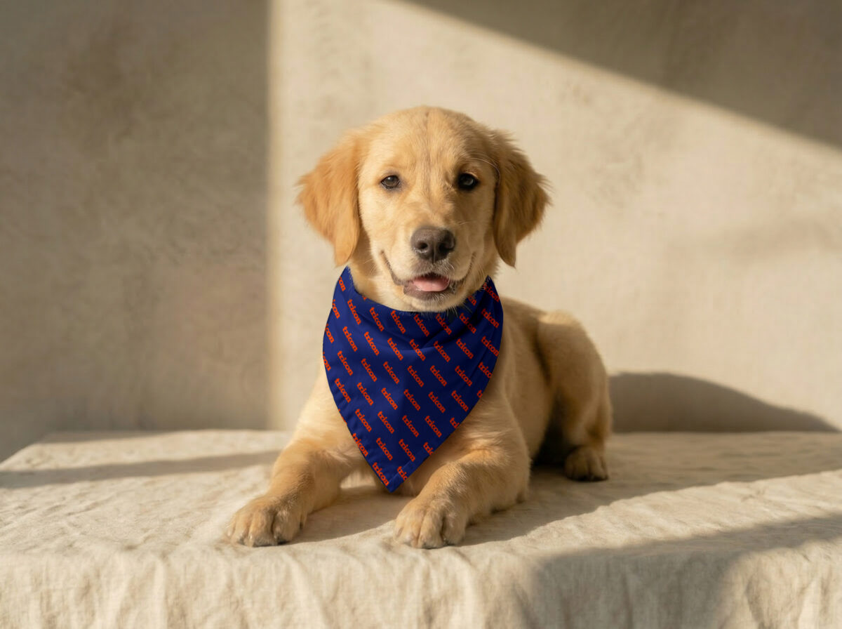 Small Pet Bandana