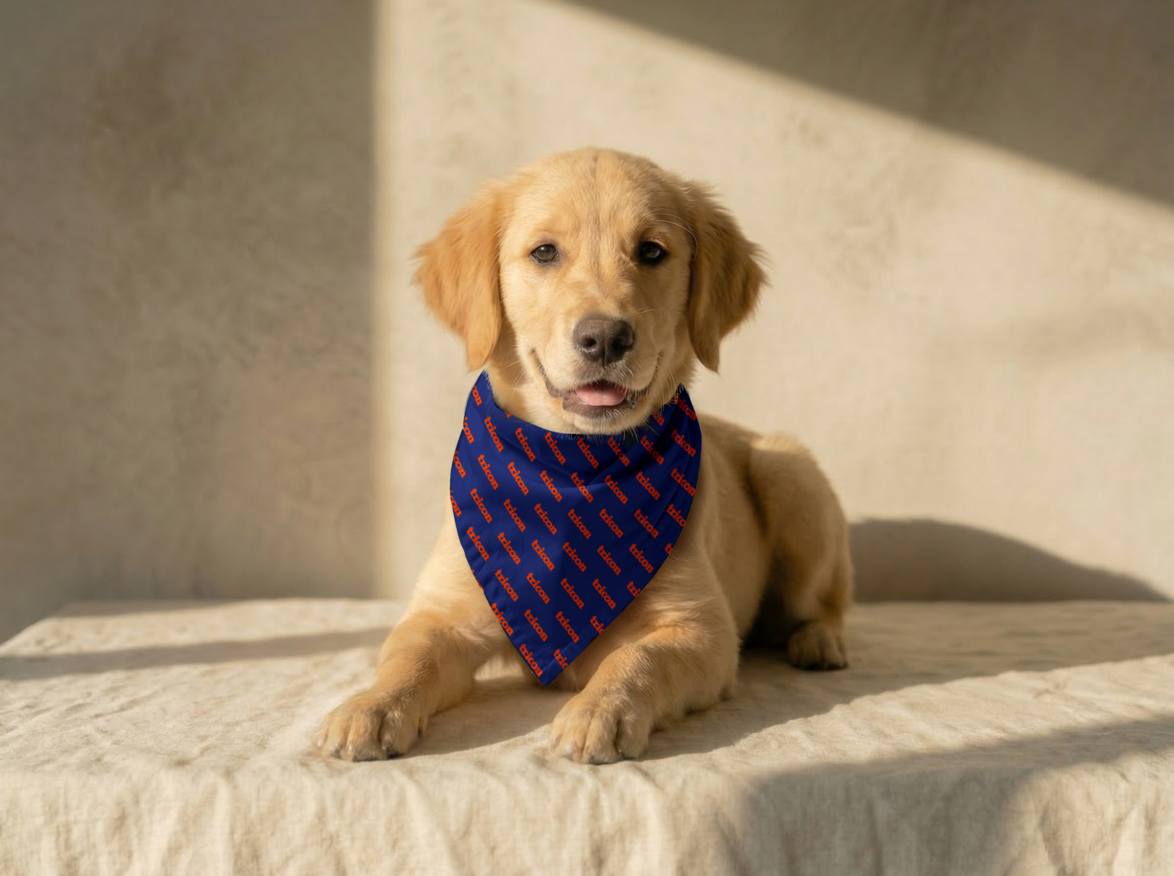 Large Pet Bandana - Image 1