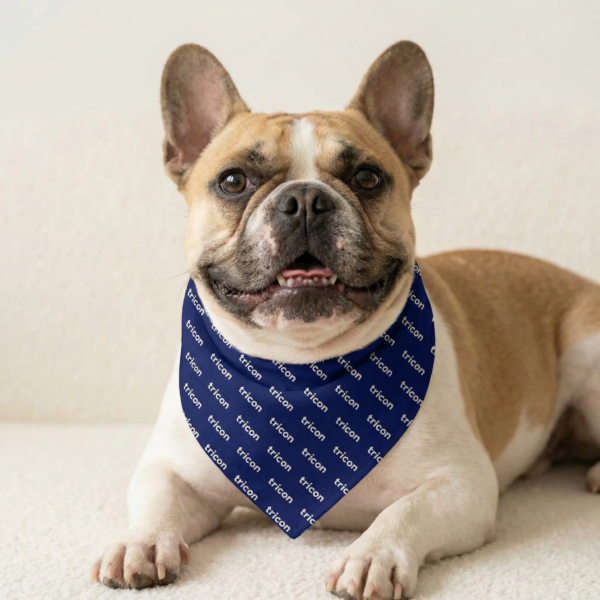 Large Pet Bandana